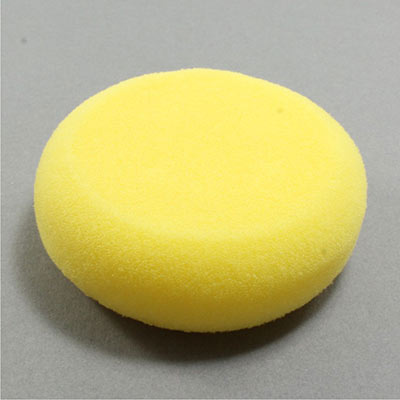 Sponge