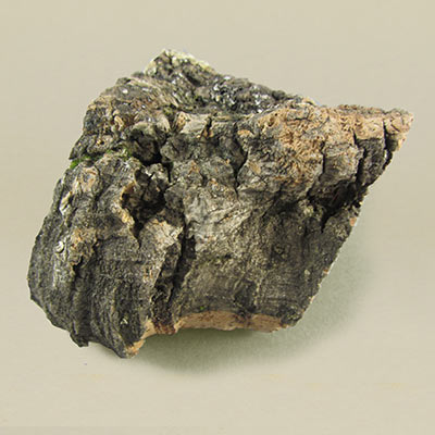 Cork bark 41 - 60g