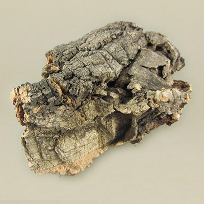 Cork bark 61 - 80g