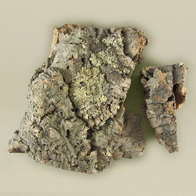 Cork bark 471 - 500g