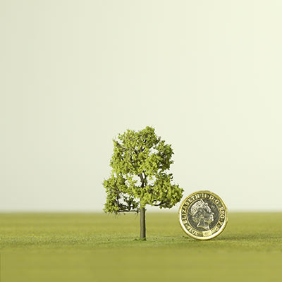 50mm light green deciduous model tree