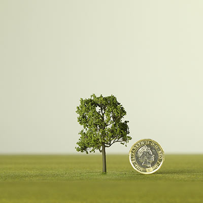 50mm medium green model tree