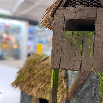 Water Soluble Moss Effect Paint