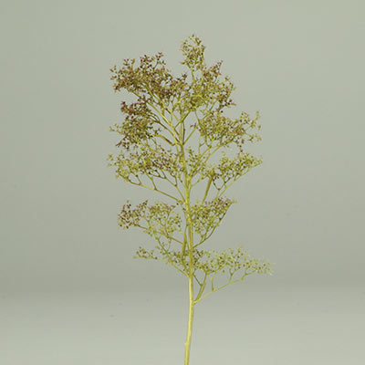 Seafoam trees for architectural and railway model making