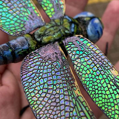 Iridescent Cellophane Film