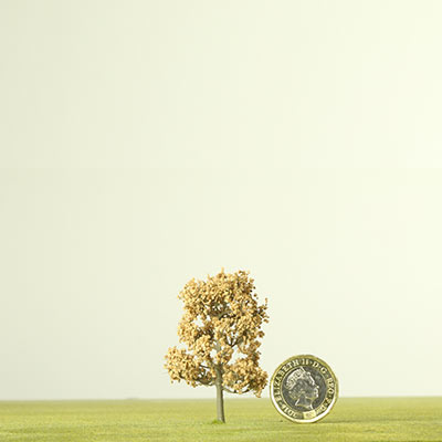 50mm model cork tree