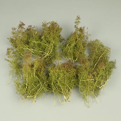 Seafoam trees for architectural and railway model making