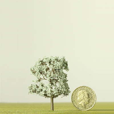 50mm pastel model tree