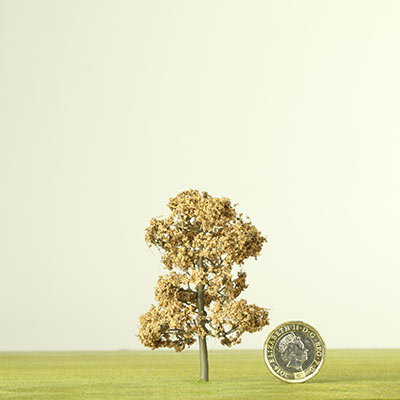 75mm model cork tree