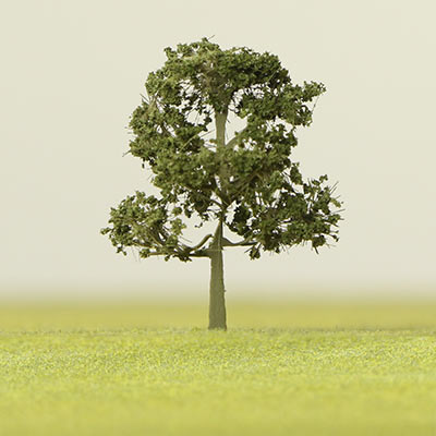 Dark green etched tree