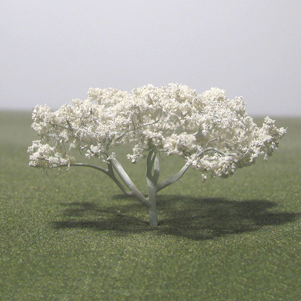 Flat top acacia model tree