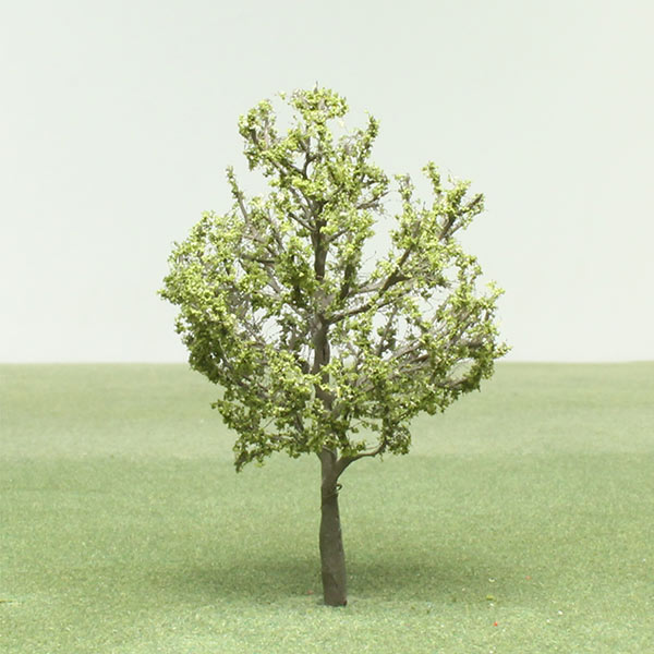 Snake bark maple model tree