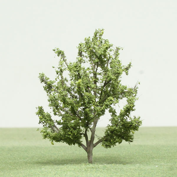 Snake bark maple model tree