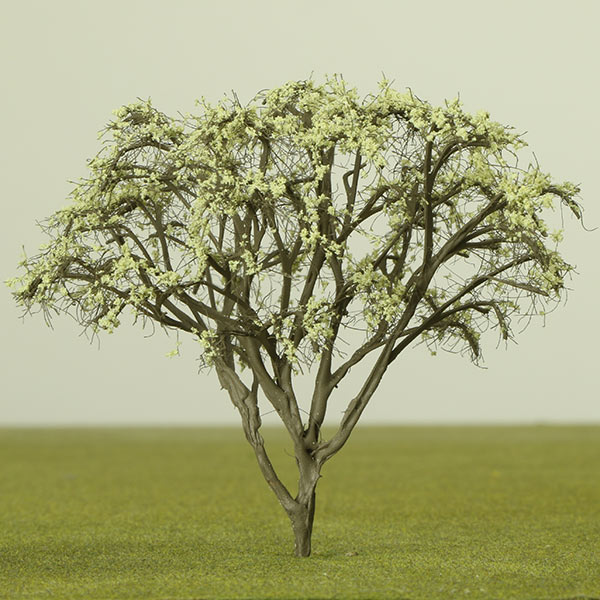 Japanese maple model tree