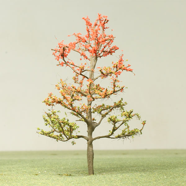 Korean maple model tree