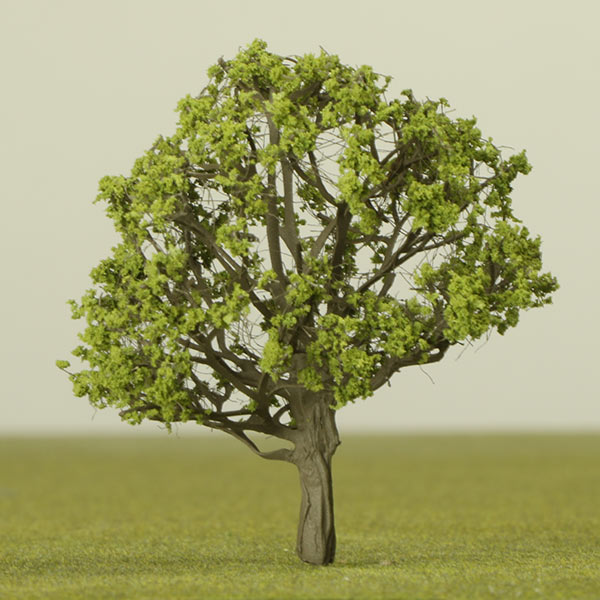 Horse chestnut model tree