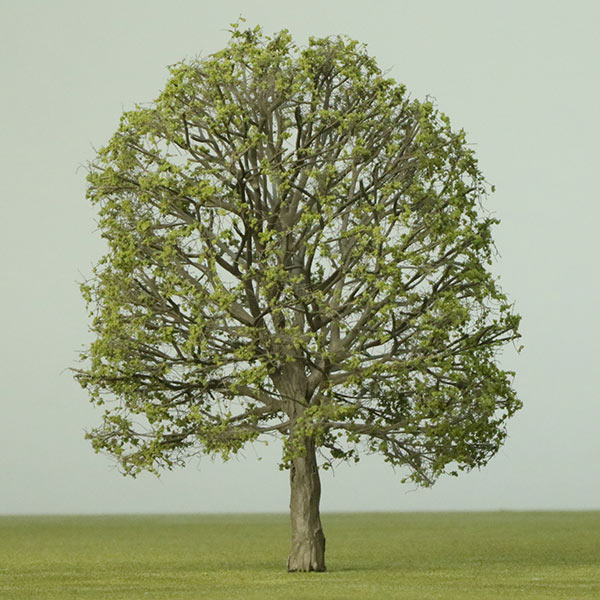 Model Horse Chestnut trees
