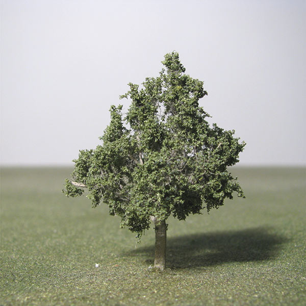 Italian alder model tree