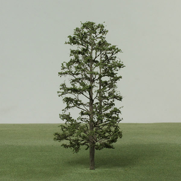 Model Alder trees