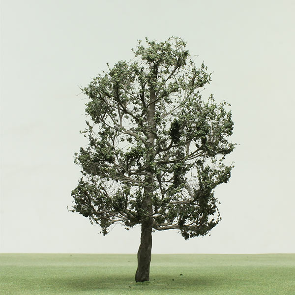 model alder tree