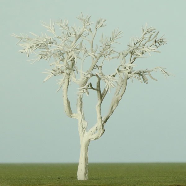 Model tree aloe