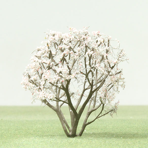 Serviceberry  model tree