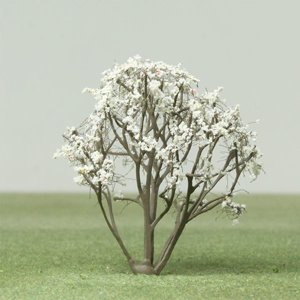 Serviceberry  model tree