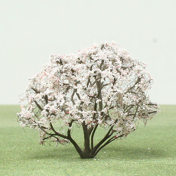 Serviceberry tree