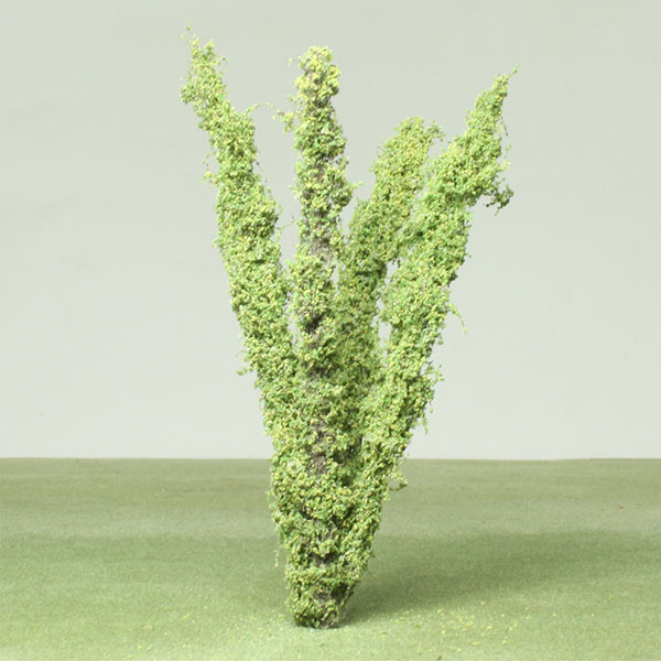 Model fairy bamboo plant