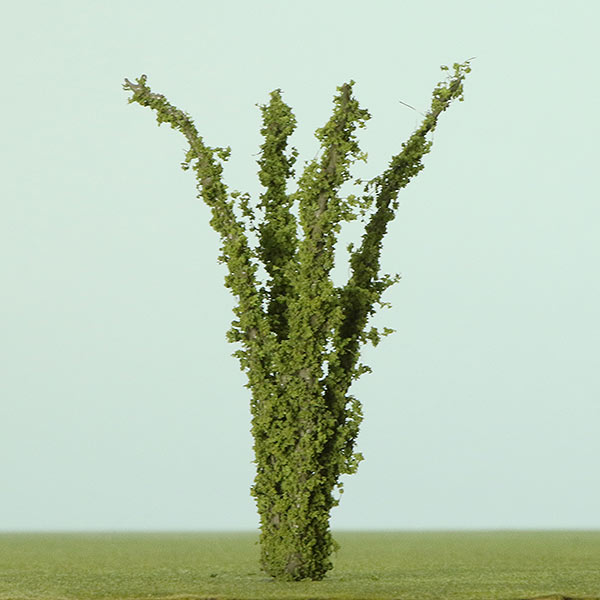 Model fairy bamboo plant