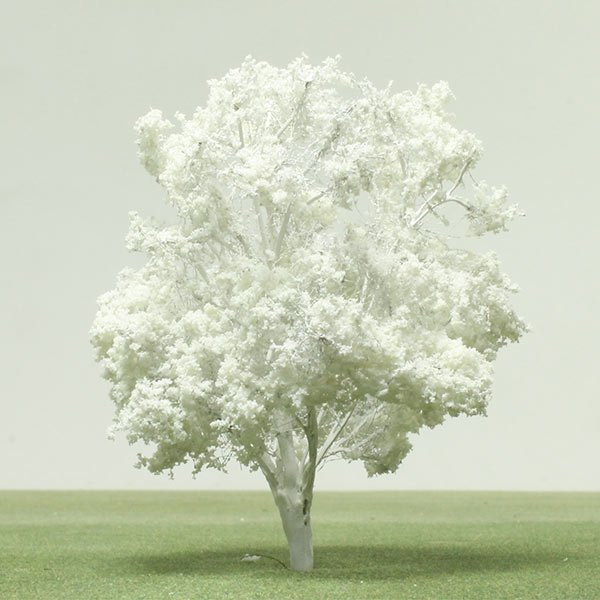 Coast banksia model tree