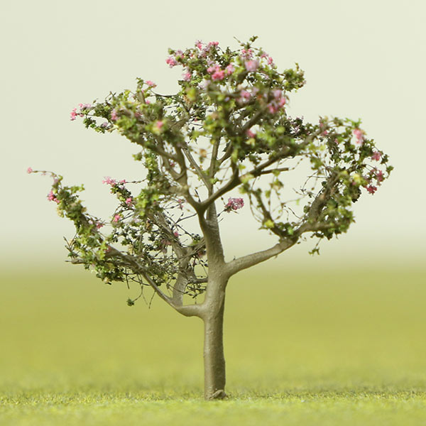 Hong Kong orchid model tree