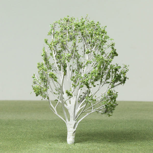 Himalayan birch model tree