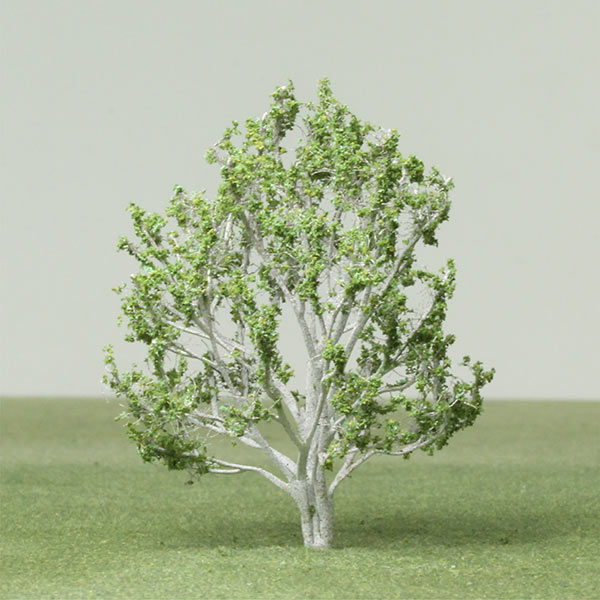 Himalayan birch model tree