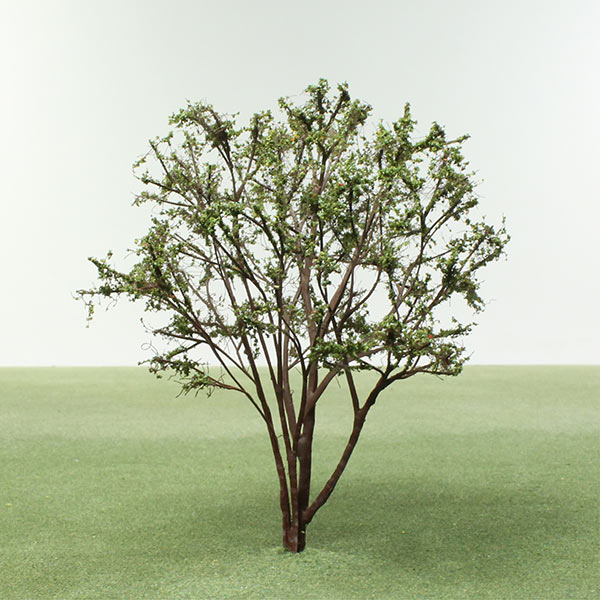 River birch model tree
