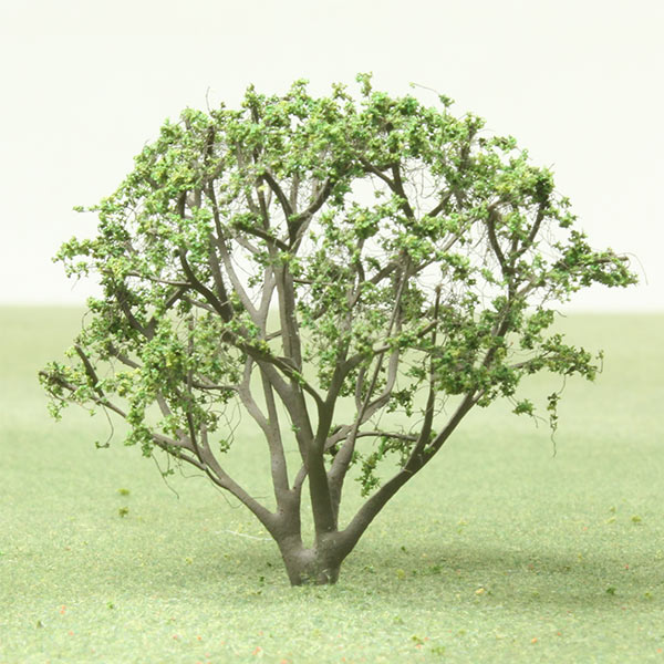 River birch model tree