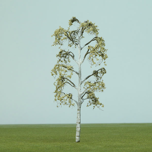 Silver birch model tree