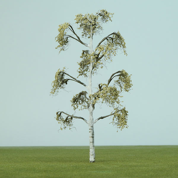 Silver birch model tree