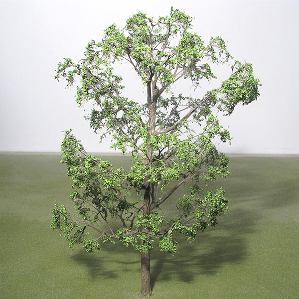 Himalayan birch model tree