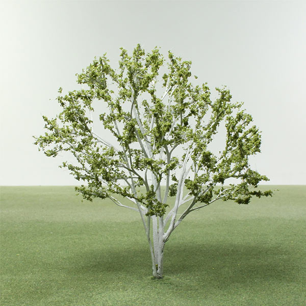 Himalayan birch model tree