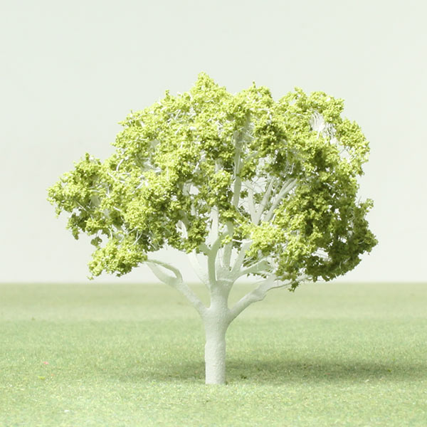 Himalayan birch model tree