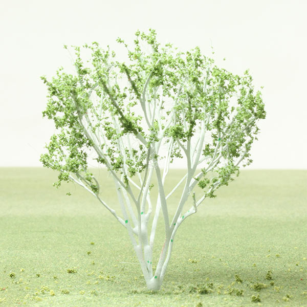 Himalayan birch model tree