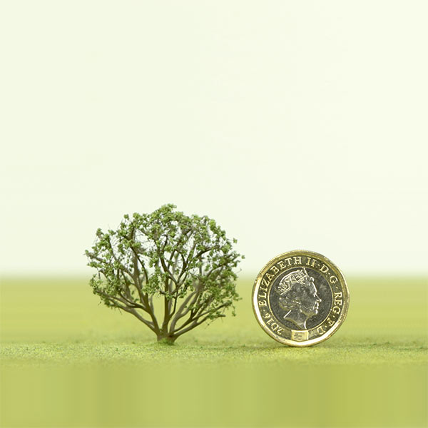 Model bush