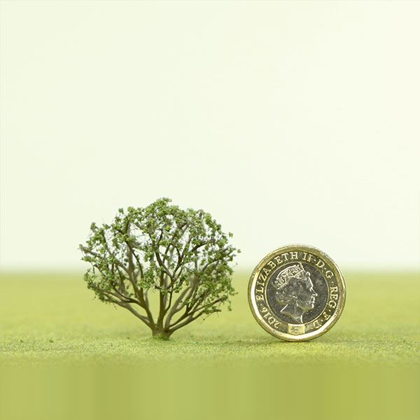 Model bush