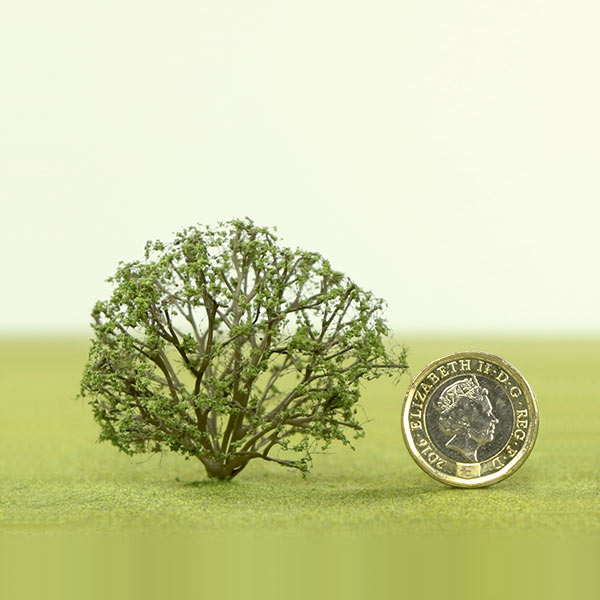 Model bush