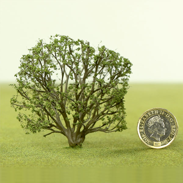 Model bush