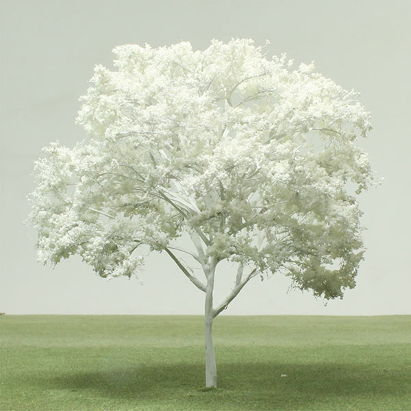 Leopard tree model tree