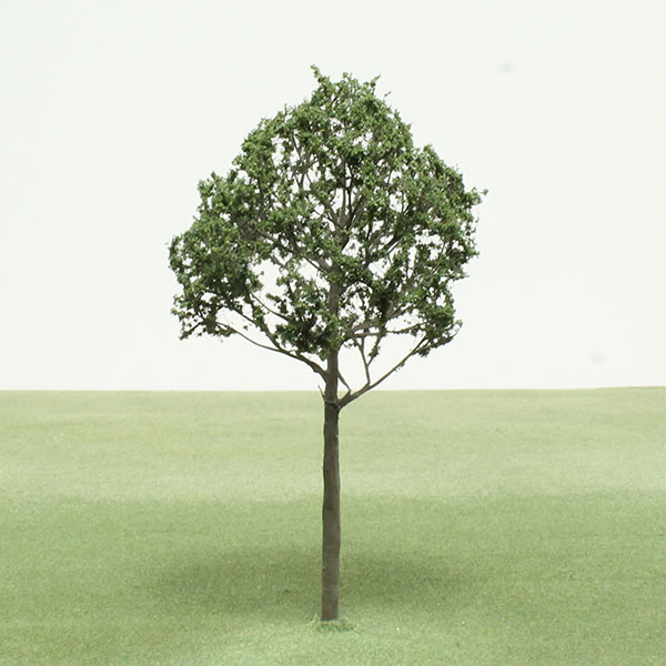 Common hornbeam model tree