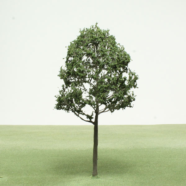 Common hornbeam model tree