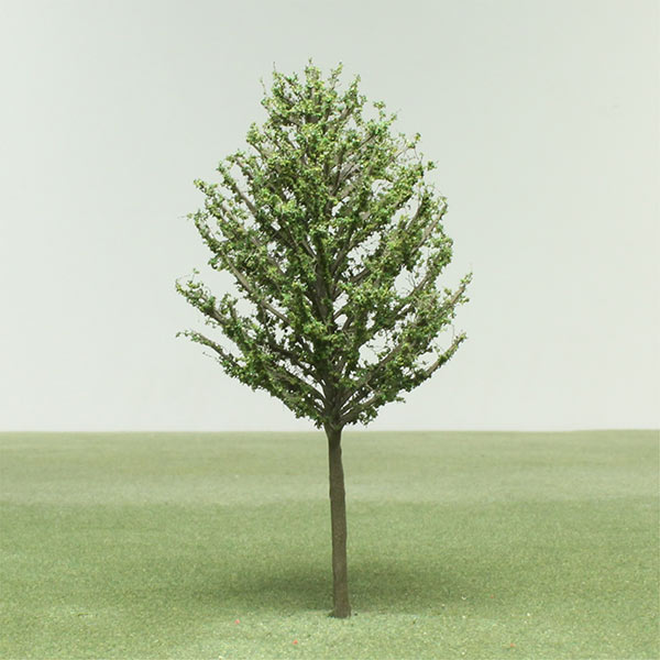 Common hornbeam model tree